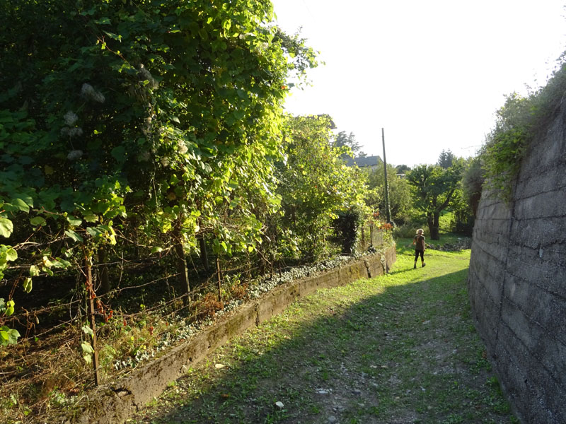 Giro del Monteghello -  sentiero F1 (Rovereto)